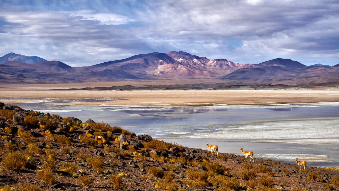 Landscape Photography of the Atacama Desert